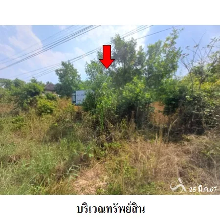 ที่ดินเปล่า เมือง นครพนม 4-3-41.8ไร่ - 5