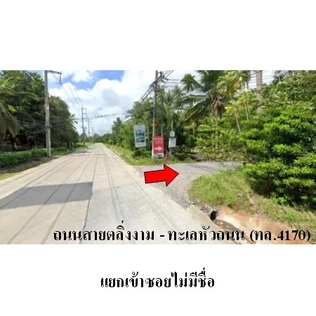 ที่ดินเปล่า เกาะสมุย สุราษฎร์ธานี 1-3-85ไร่ - 5
