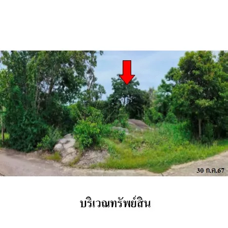 ที่ดินเปล่า เกาะสมุย สุราษฎร์ธานี 1-3-85ไร่ - 6