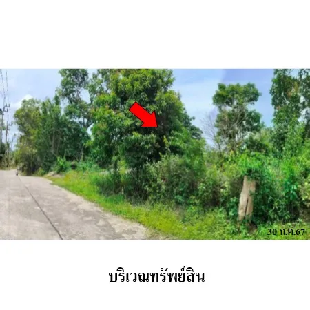 ที่ดินเปล่า เกาะสมุย สุราษฎร์ธานี 1-3-85ไร่ - 7