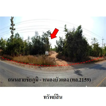 ที่ดินเปล่า เมือง ชัยภูมิ 21-2-50ไร่