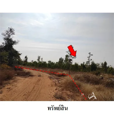 ที่ดินเปล่า เมือง ชัยภูมิ 21-2-50ไร่ - 2