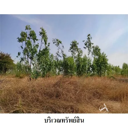 ที่ดินเปล่า เมือง ชัยภูมิ 21-2-50ไร่ - 4