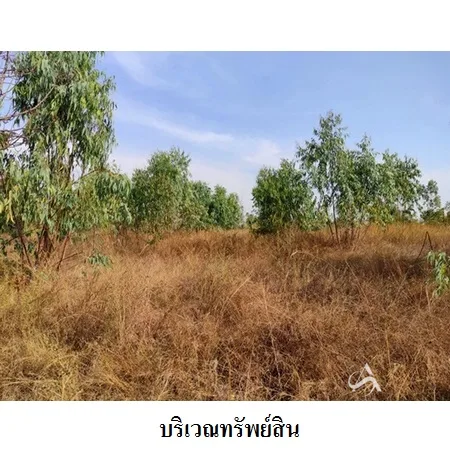 ที่ดินเปล่า เมือง ชัยภูมิ 21-2-50ไร่ - 5
