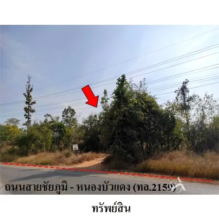ที่ดินเปล่า เมือง ชัยภูมิ 21-2-50ไร่ - 8