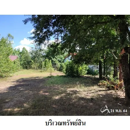 ที่ดินเปล่า พิบูลย์มังสาหาร อุบลราชธานี 6-0-80ไร่ - 7
