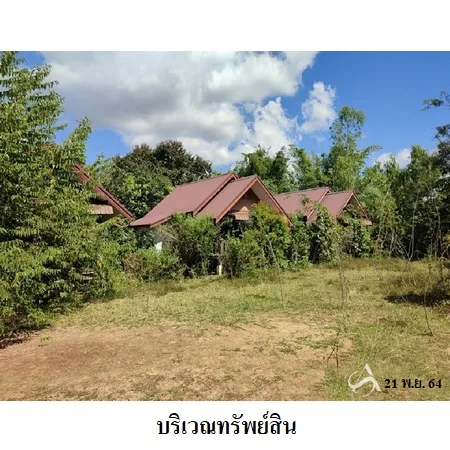 ที่ดินเปล่า พิบูลย์มังสาหาร อุบลราชธานี 6-0-80ไร่ - 8