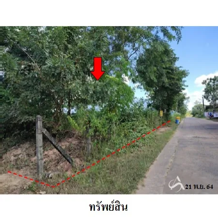 ที่ดินเปล่า พิบูลย์มังสาหาร อุบลราชธานี 6-0-80ไร่ - 13