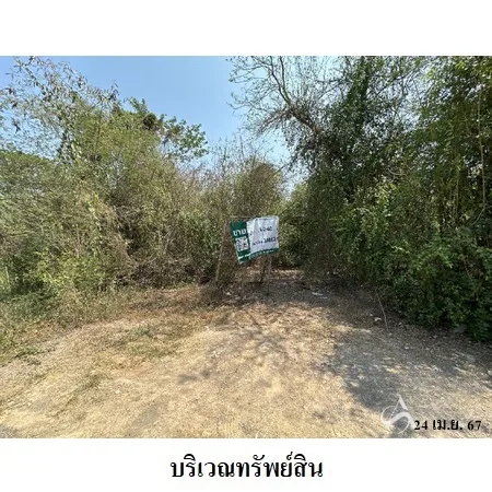 ที่ดินเปล่า เมือง ราชบุรี 6-2-40ไร่ - 3