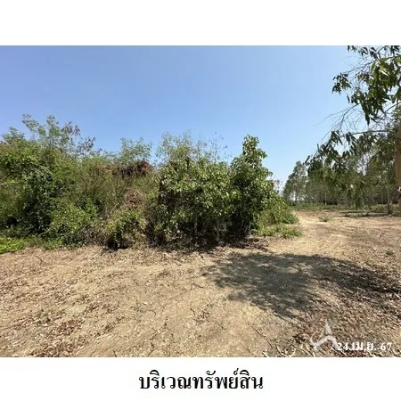 ที่ดินเปล่า เมือง ราชบุรี 6-2-40ไร่ - 4