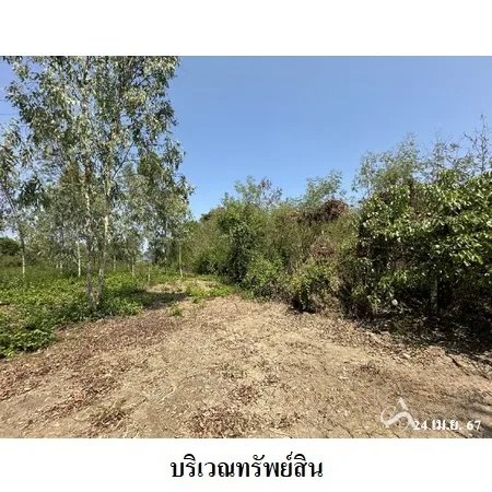 ที่ดินเปล่า เมือง ราชบุรี 6-2-40ไร่ - 5
