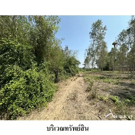 ที่ดินเปล่า เมือง ราชบุรี 6-2-40ไร่ - 6