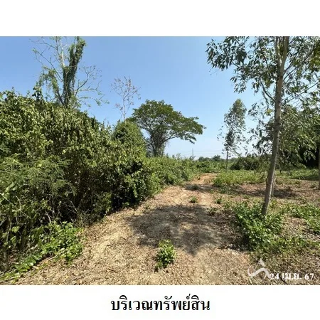 ที่ดินเปล่า เมือง ราชบุรี 6-2-40ไร่ - 7