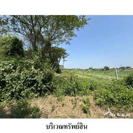 ที่ดินเปล่า เมือง ราชบุรี 6-2-40ไร่ - 8