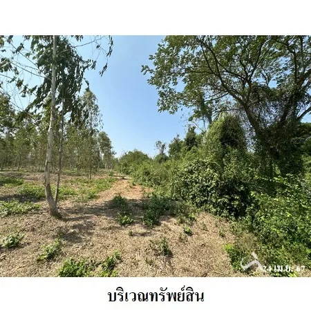 ที่ดินเปล่า เมือง ราชบุรี 6-2-40ไร่ - 9