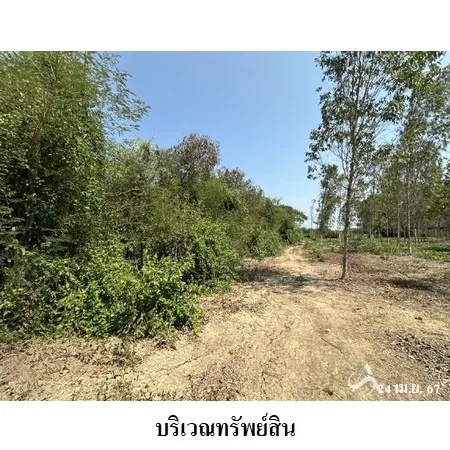 ที่ดินเปล่า เมือง ราชบุรี 6-2-40ไร่ - 10