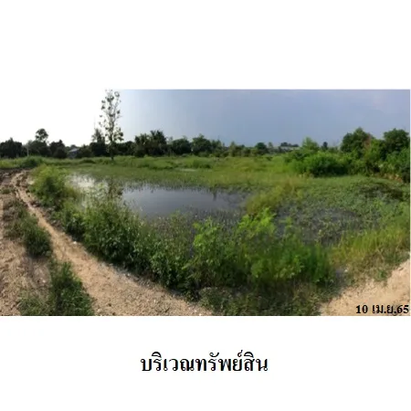 ที่ดินเปล่า หางดง เชียงใหม่ 7-0-84ไร่ - 5