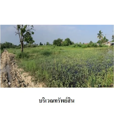 ที่ดินเปล่า หางดง เชียงใหม่ 7-0-84ไร่ - 6