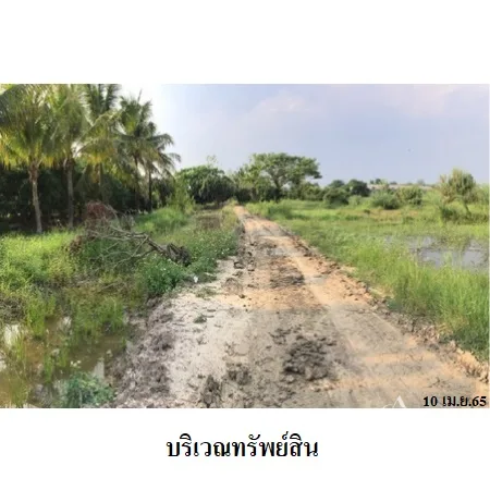 ที่ดินเปล่า หางดง เชียงใหม่ 7-0-84ไร่ - 7