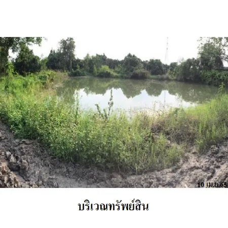 ที่ดินเปล่า หางดง เชียงใหม่ 7-0-84ไร่ - 8