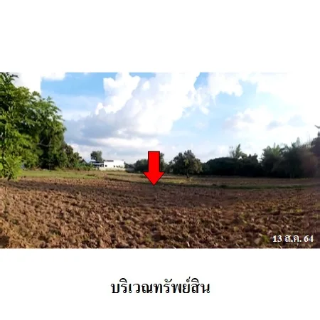 ที่ดินเปล่า คำเขื่อนแก้ว ยโสธร 6-0-68ไร่ - 9