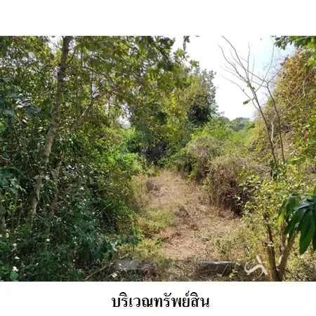 ที่ดินเปล่า เมือง ยโสธร 46-3-30ไร่ - 6
