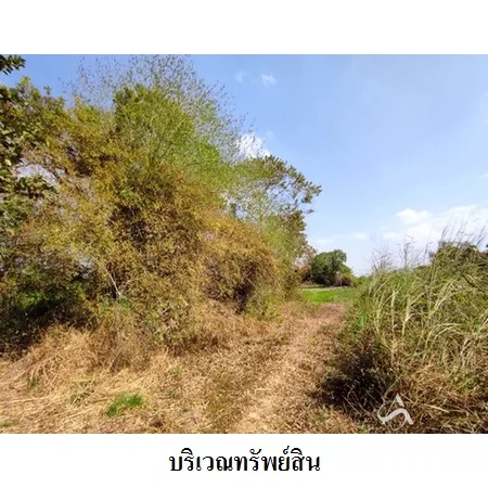 ที่ดินเปล่า เมือง ยโสธร 46-3-30ไร่ - 7