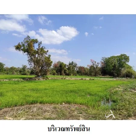 ที่ดินเปล่า เมือง ยโสธร 46-3-30ไร่ - 8