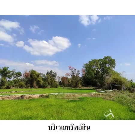 ที่ดินเปล่า เมือง ยโสธร 46-3-30ไร่ - 9