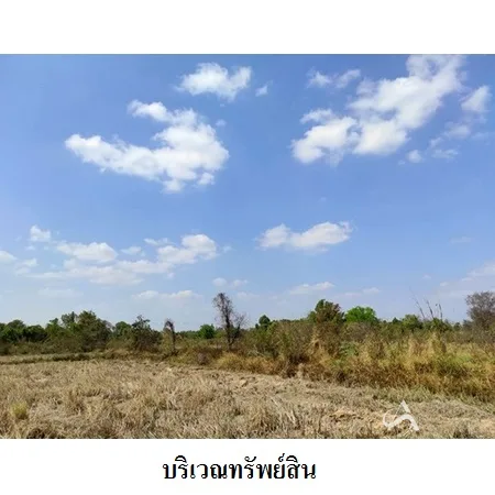 ที่ดินเปล่า เมือง ยโสธร 46-3-30ไร่ - 10