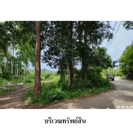 ที่ดินเปล่า สิงหนคร สงขลา 7-0-93ไร่ - 3