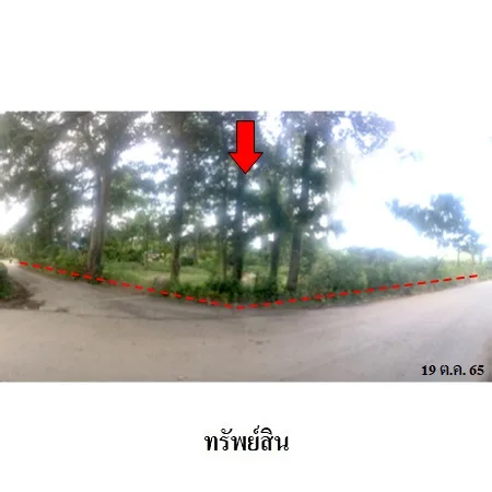ที่ดินเปล่า สิงหนคร สงขลา 7-0-93ไร่