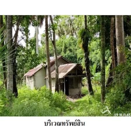 ที่ดินเปล่า สิงหนคร สงขลา 7-0-93ไร่ - 6