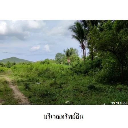 ที่ดินเปล่า สิงหนคร สงขลา 7-0-93ไร่ - 7