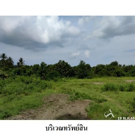 ที่ดินเปล่า สิงหนคร สงขลา 7-0-93ไร่ - 8