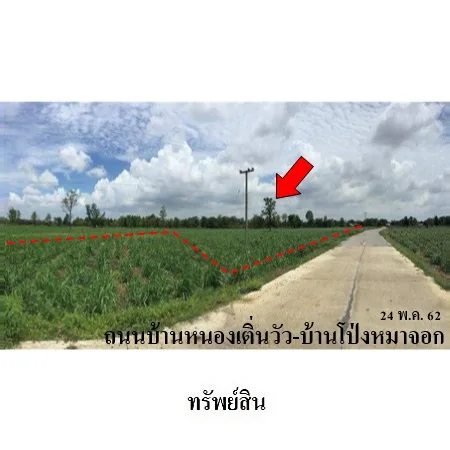 ที่ดินเปล่า ลำปลายมาศ บุรีรัมย์ 22-2-59ไร่ - 4