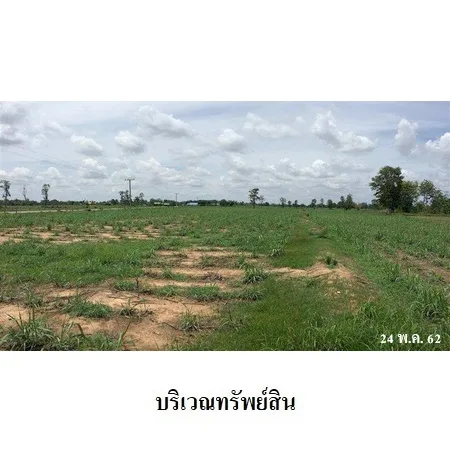 ที่ดินเปล่า ลำปลายมาศ บุรีรัมย์ 22-2-59ไร่ - 6