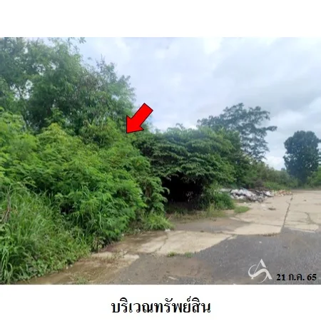 ที่ดินเปล่า ลำปลายมาศ บุรีรัมย์ 5-0-82ไร่ - 3