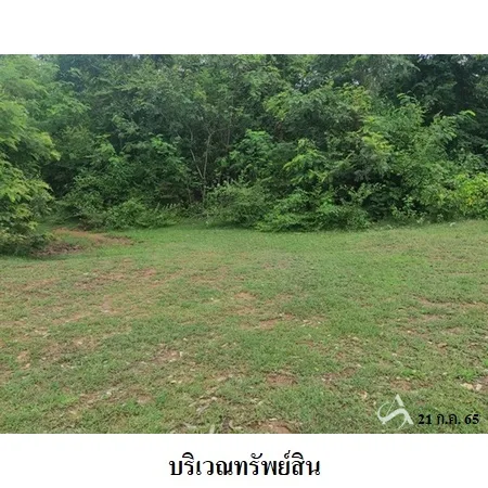 ที่ดินเปล่า ลำปลายมาศ บุรีรัมย์ 5-0-82ไร่ - 4