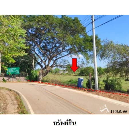 ที่ดินเปล่า เซกา บึงกาฬ 7-2-62ไร่