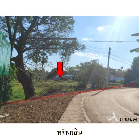 ที่ดินเปล่า เซกา บึงกาฬ 7-2-62ไร่ - 4