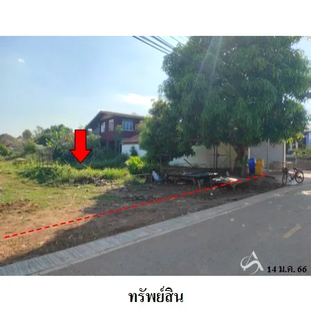 ที่ดินเปล่า เซกา บึงกาฬ 7-2-62ไร่ - 5