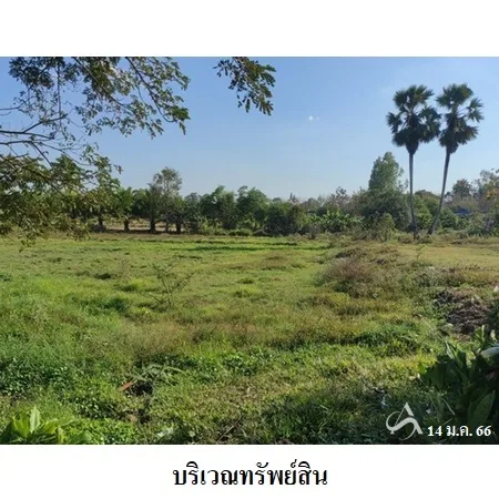 ที่ดินเปล่า เซกา บึงกาฬ 7-2-62ไร่ - 8