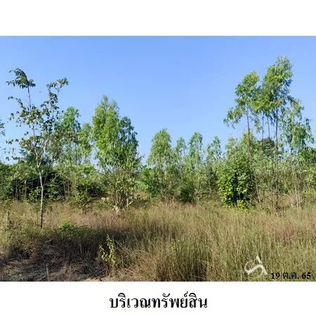 ที่ดินเปล่า เมือง ชัยภูมิ 7-2-67ไร่ - 2