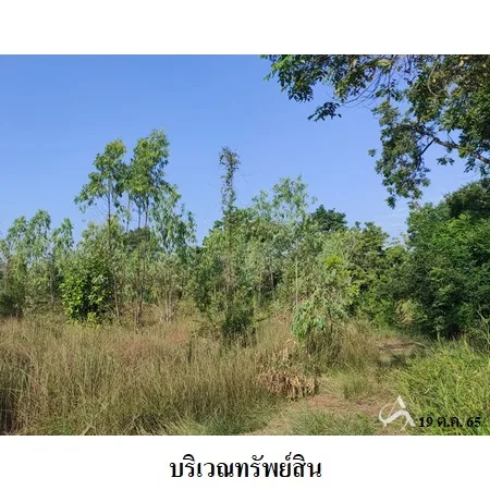ที่ดินเปล่า เมือง ชัยภูมิ 7-2-67ไร่ - 4