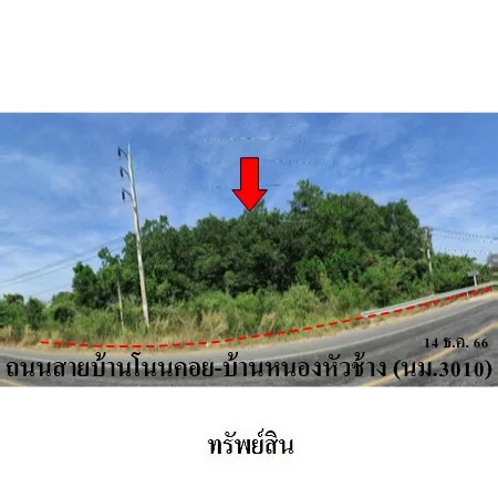 ที่ดินเปล่า พิมาย นครราชสีมา 10-0-31ไร่