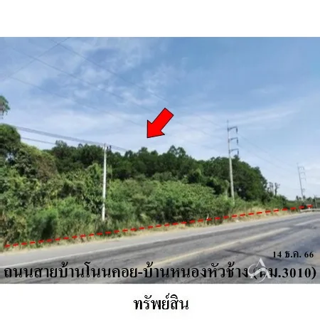 ที่ดินเปล่า พิมาย นครราชสีมา 10-0-31ไร่ - 13