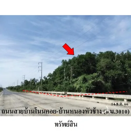 ที่ดินเปล่า พิมาย นครราชสีมา 10-0-31ไร่ - 3