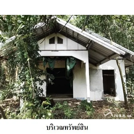 ที่ดินเปล่า พิมาย นครราชสีมา 10-0-31ไร่ - 4
