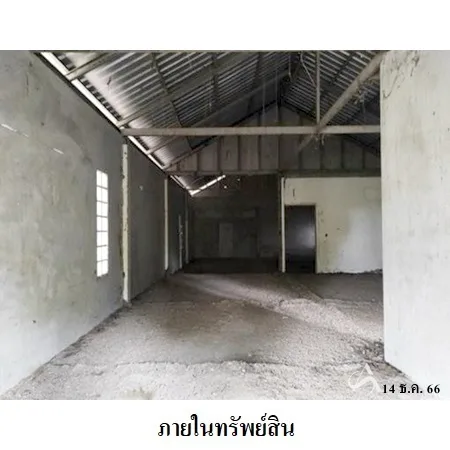 ที่ดินเปล่า พิมาย นครราชสีมา 10-0-31ไร่ - 5